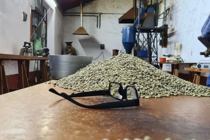 Kaffeetransparenz verstehen: Vom Farmgate, über FOB bis zur Rösterei