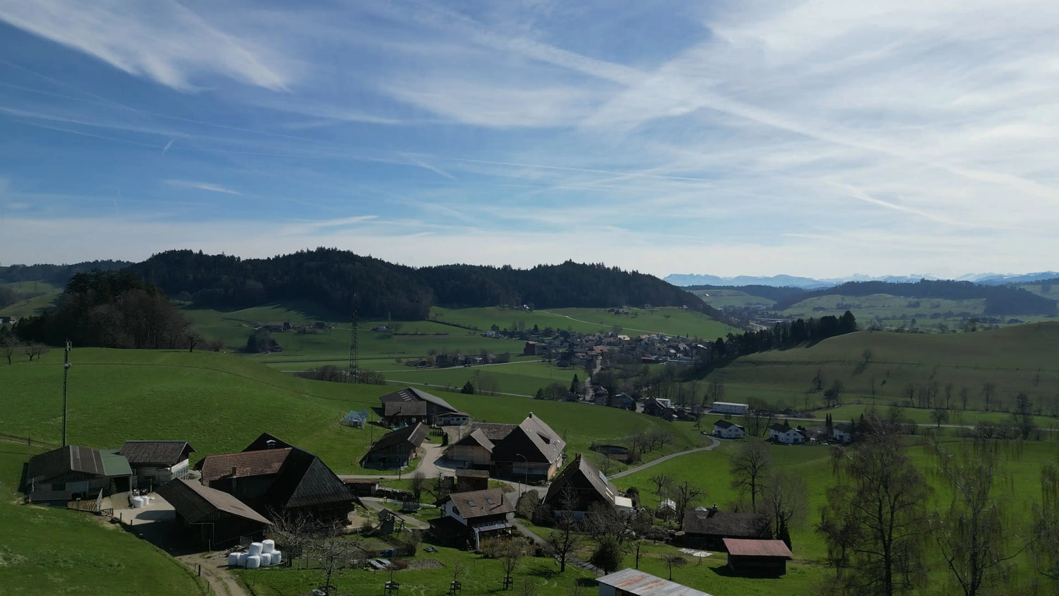 Lupinenkaffee von Helen. Unsere lokale Kaffee-Alternative