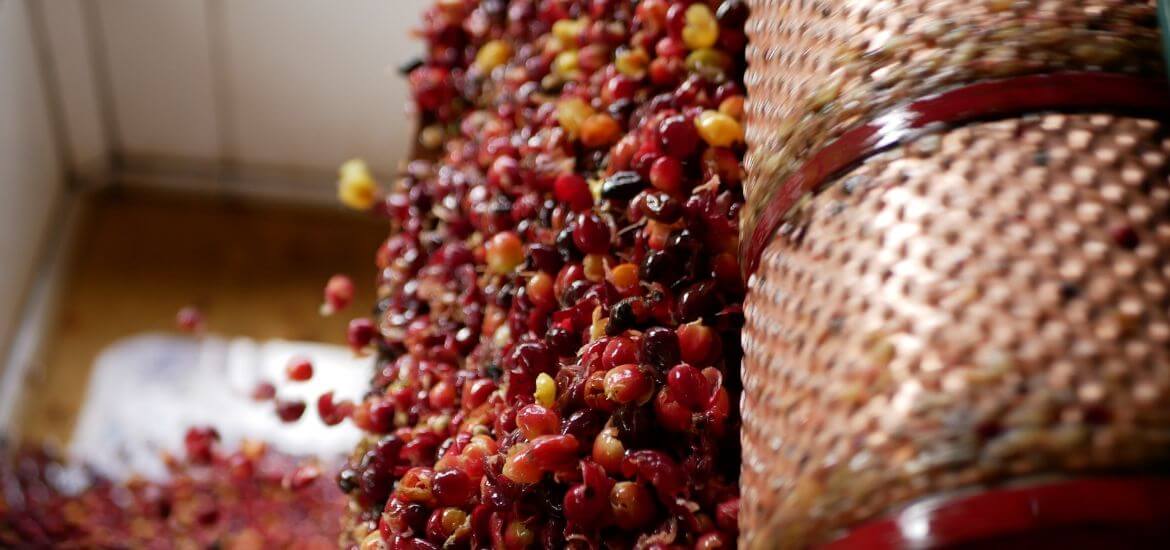 Preistransparenz Kaffee FOB und Direct Trade