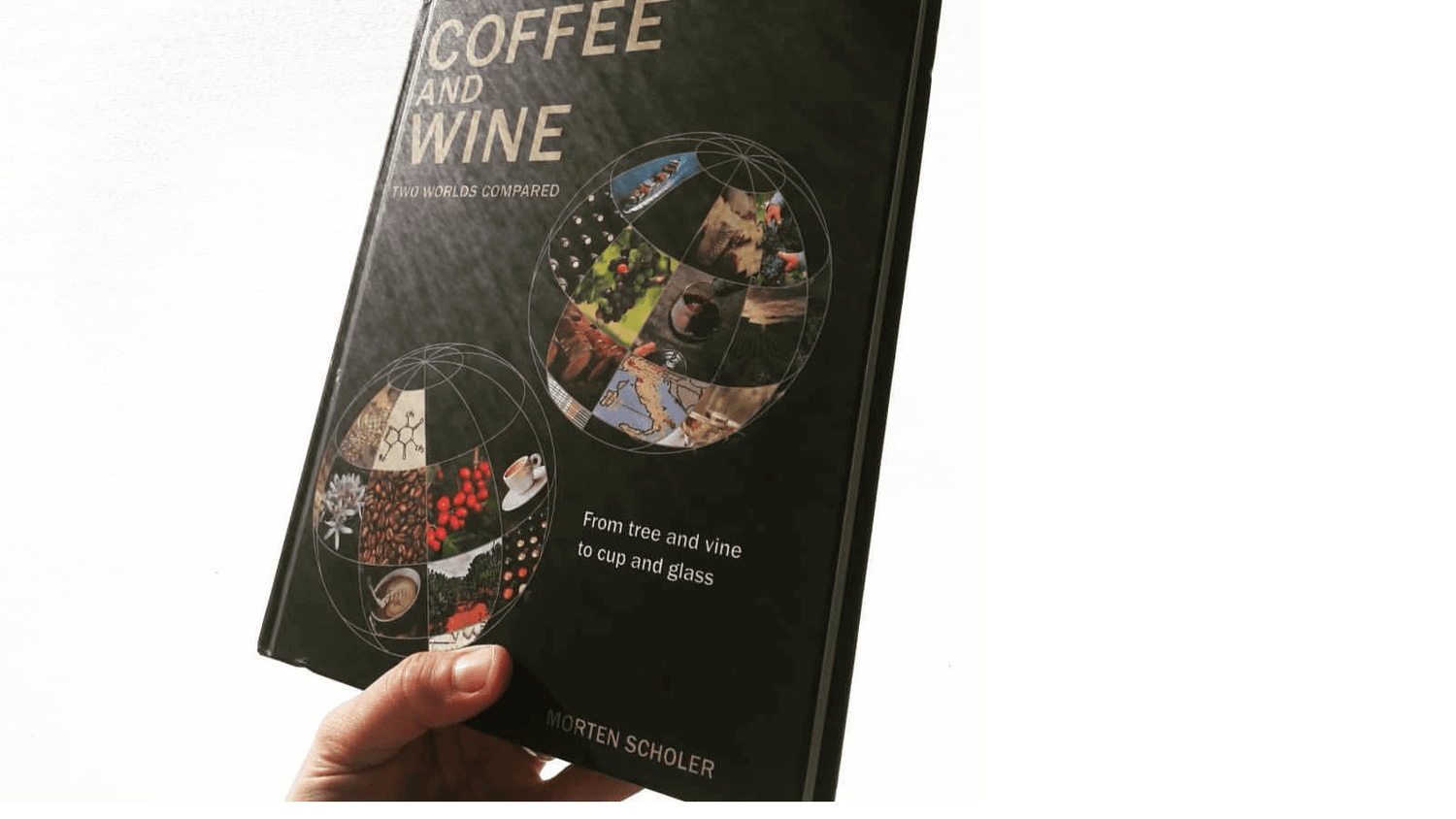 Wein und Kaffee – Gemeinsamkeiten und Unterschiede