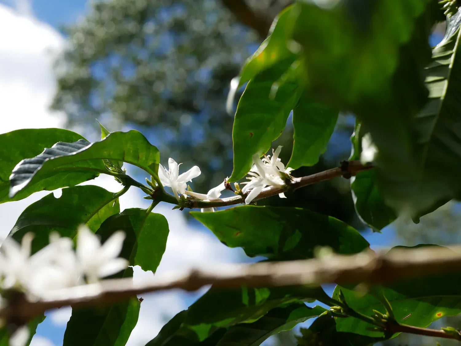 Kaffee machen inklusiv - unser neuer KM-Arbeitsbereich