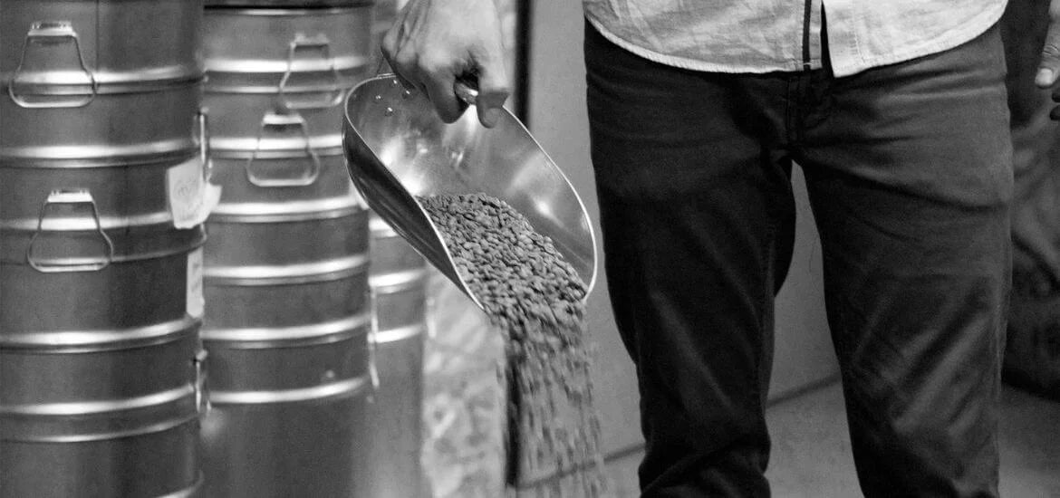 Robusta Qualität und Q Robusta Grading