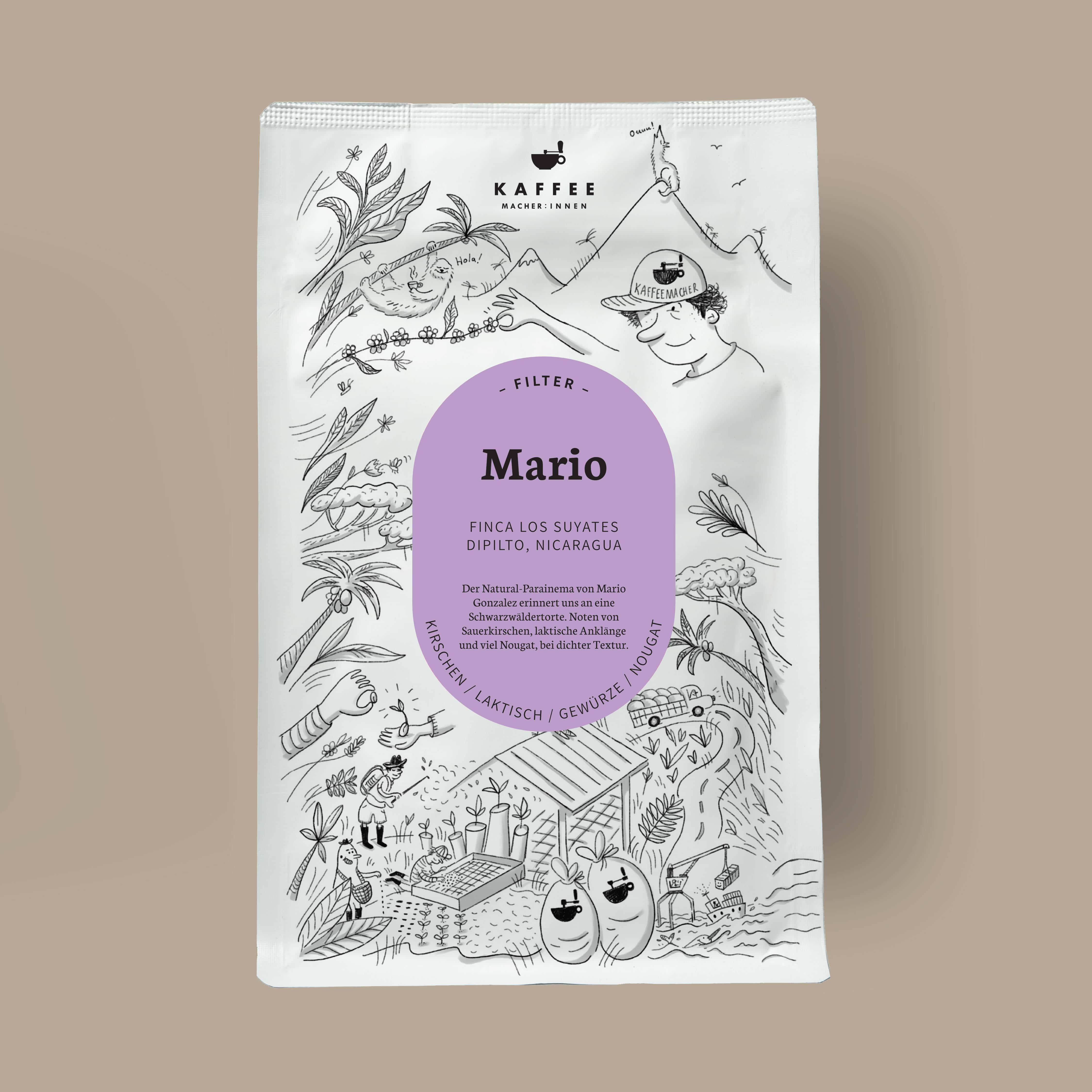 Mario, Filterkaffee aus Nicaragua