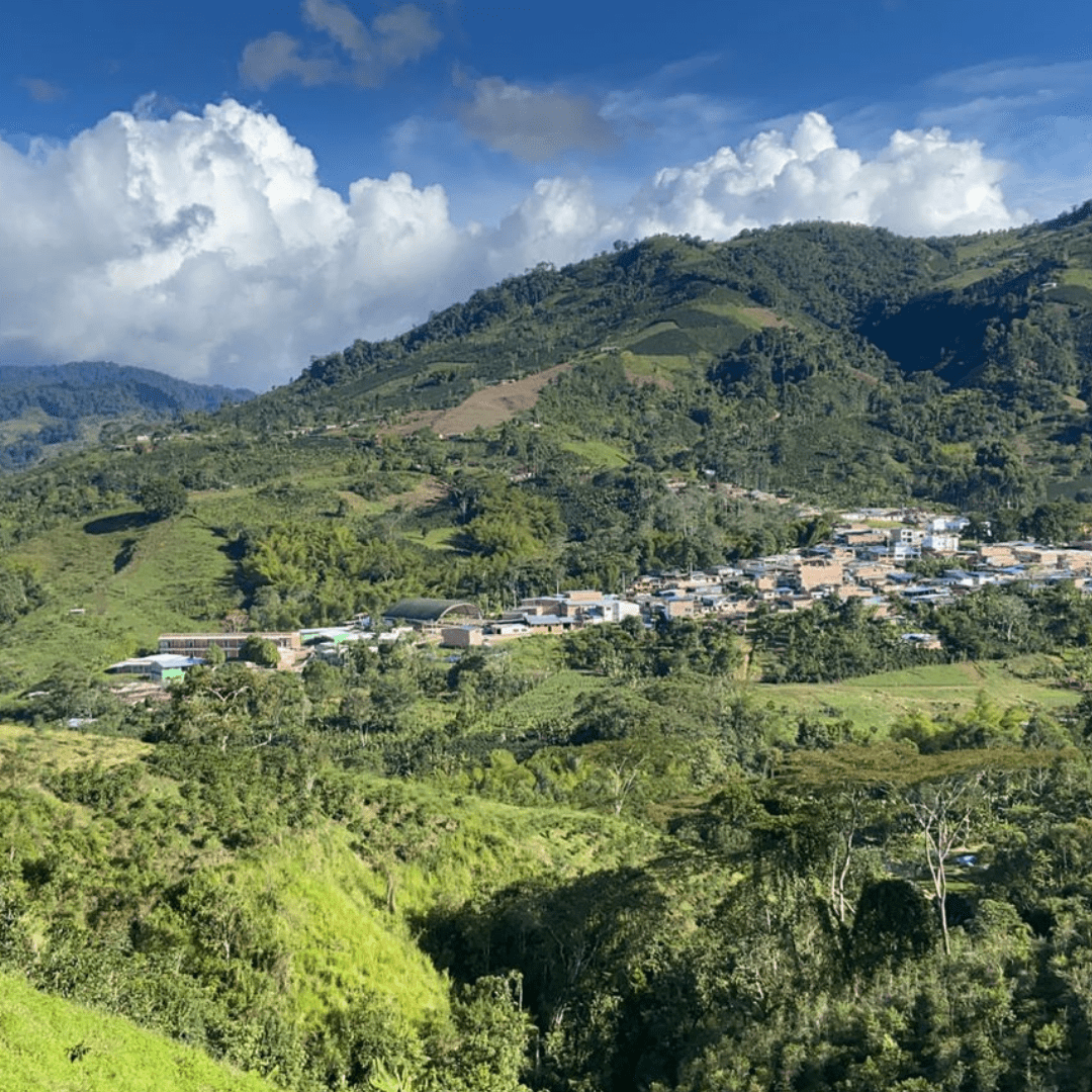 La Esperanza, Filter