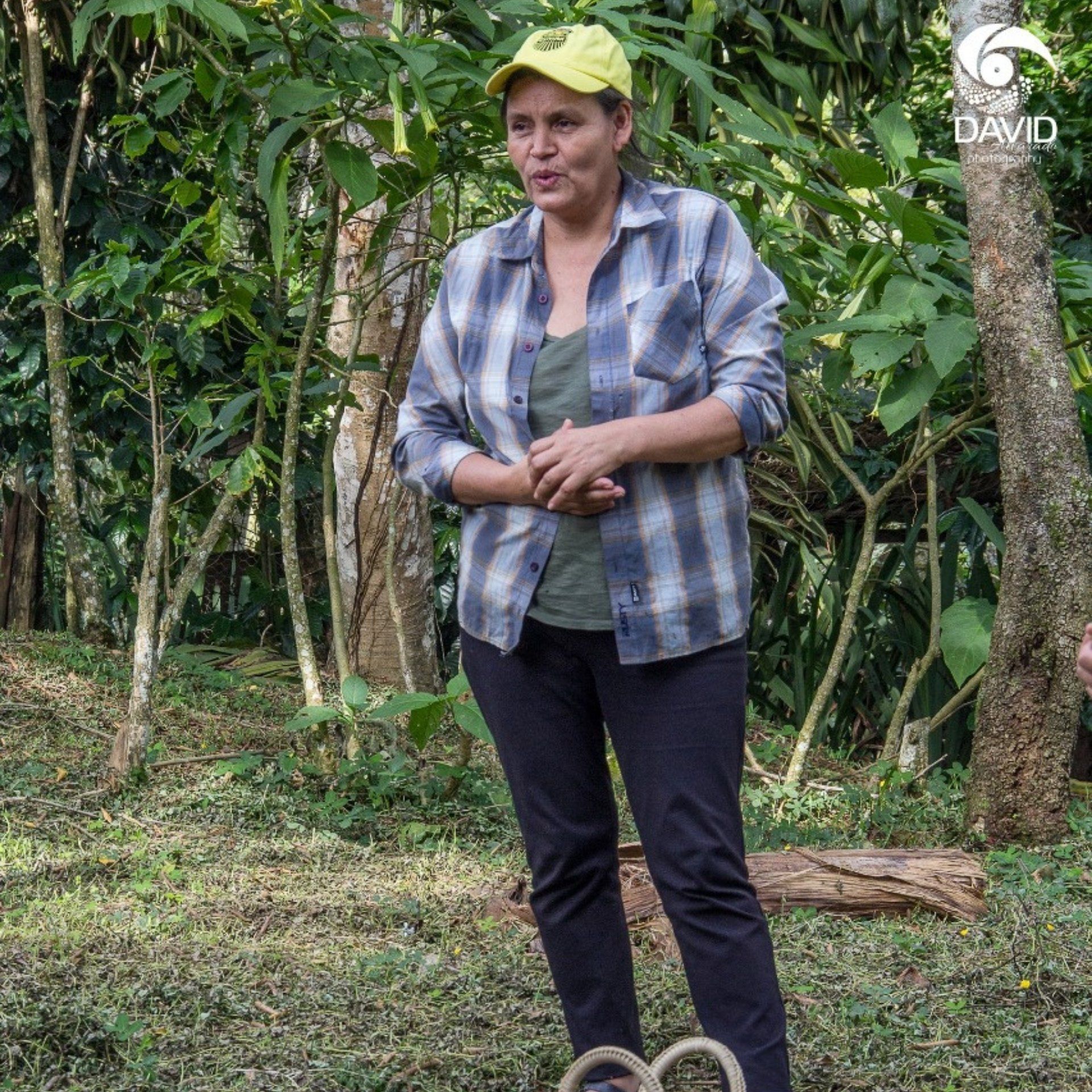 Dulce Marlen, Filter