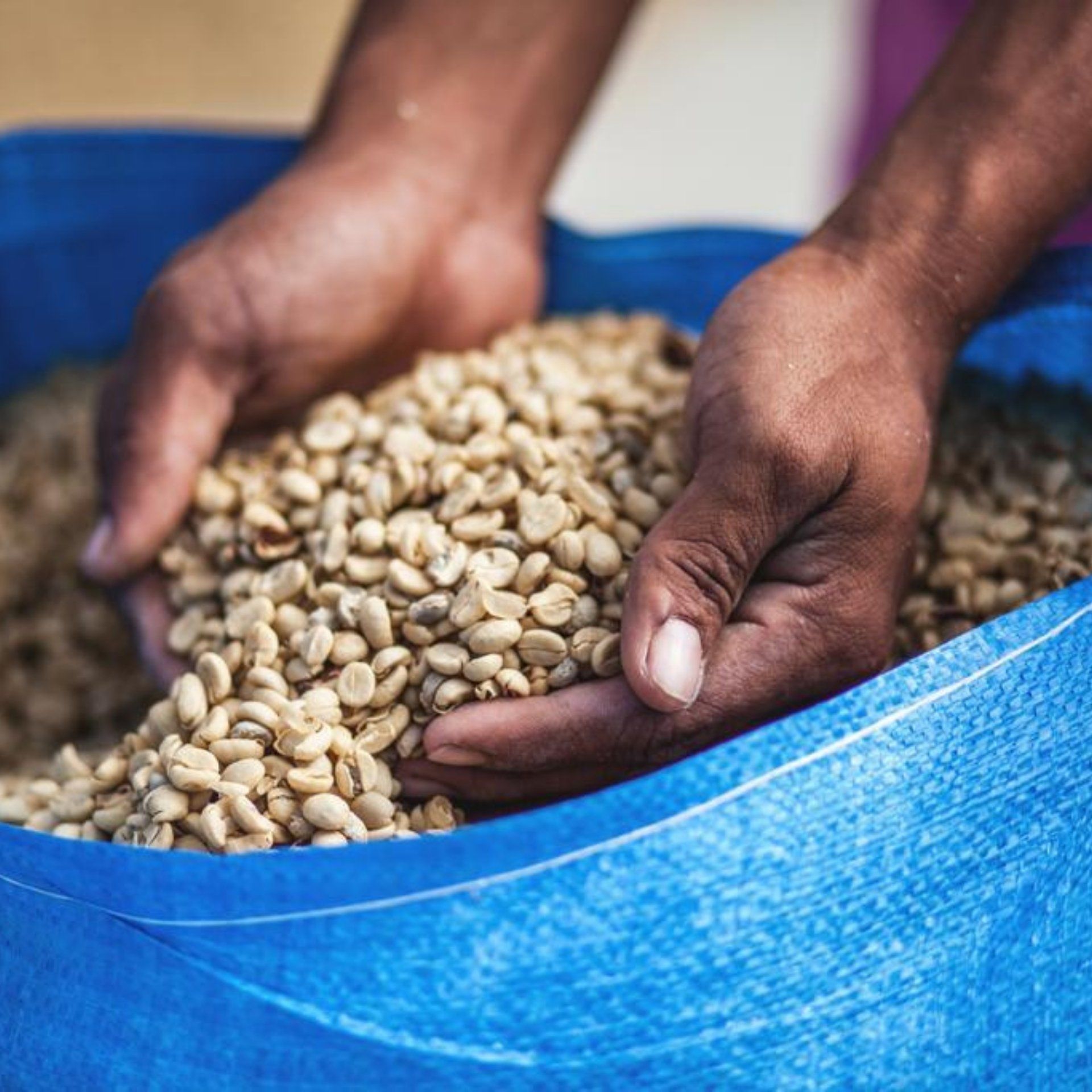 Dulce Marlen, Filter