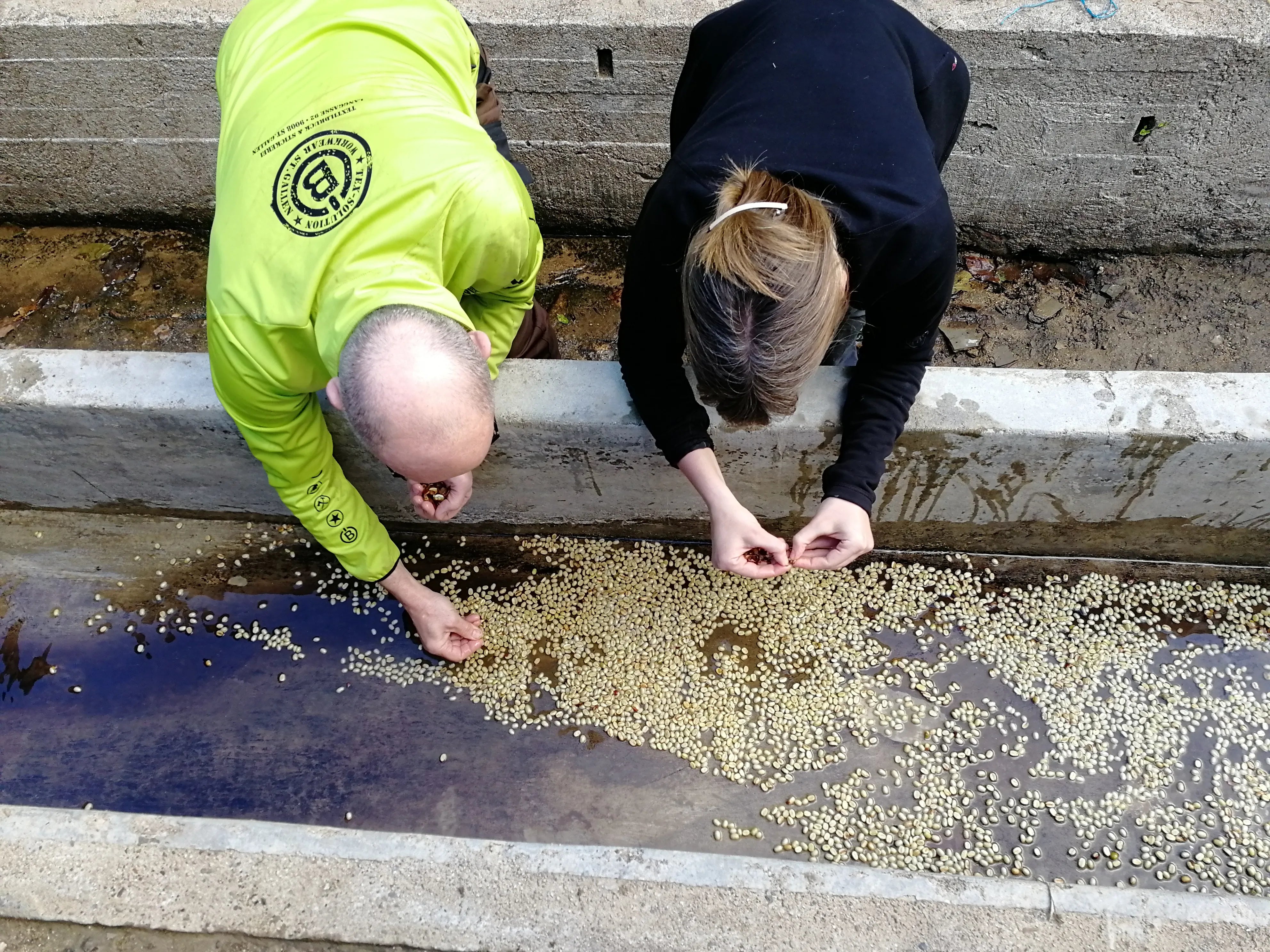 Kaffee in iner washing Station