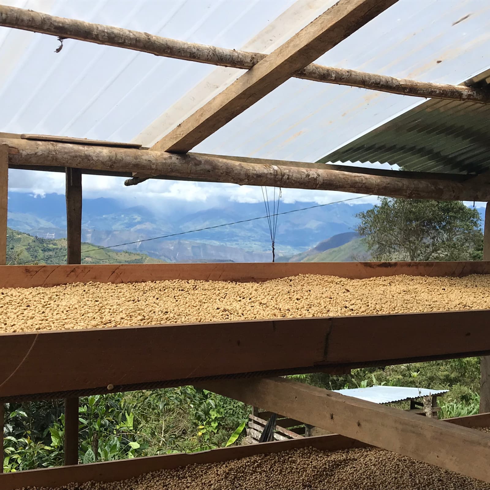 Chrirnos Dry Beds
