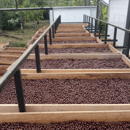 Giomar, Espresso aus Ecuador
