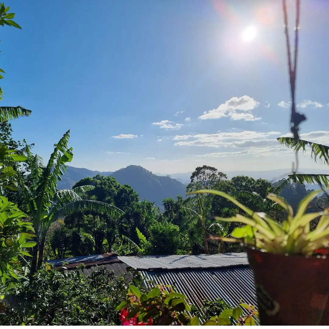 Doña Maria - Filter aus Nicaragua