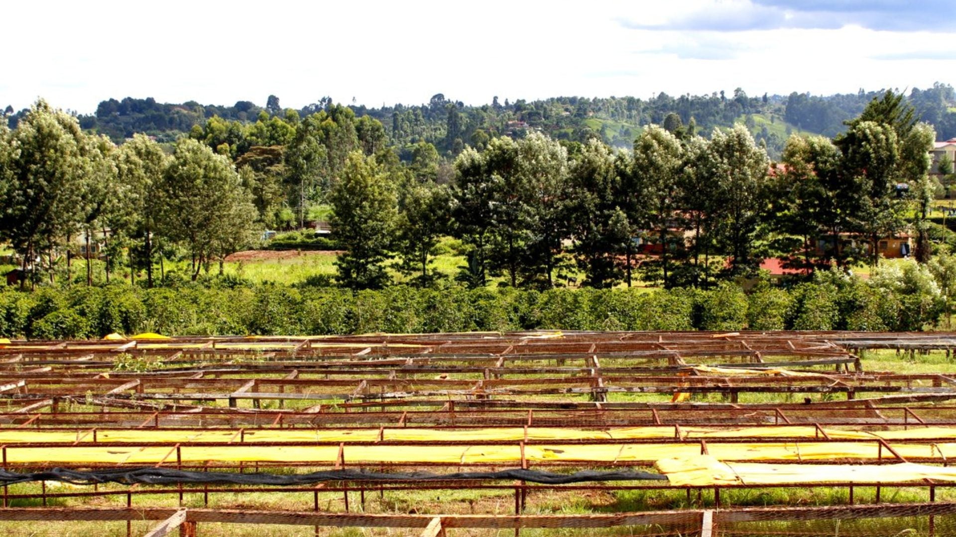 Ichamama Dry Beds