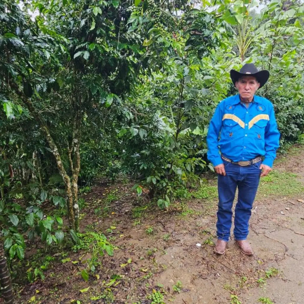 La Conserva – Espresso from Guatemala