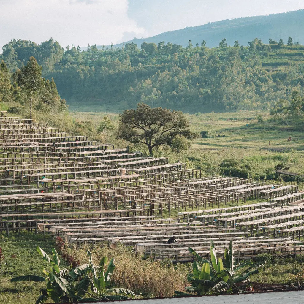 Ninga - Filterkaffee aus Burundi