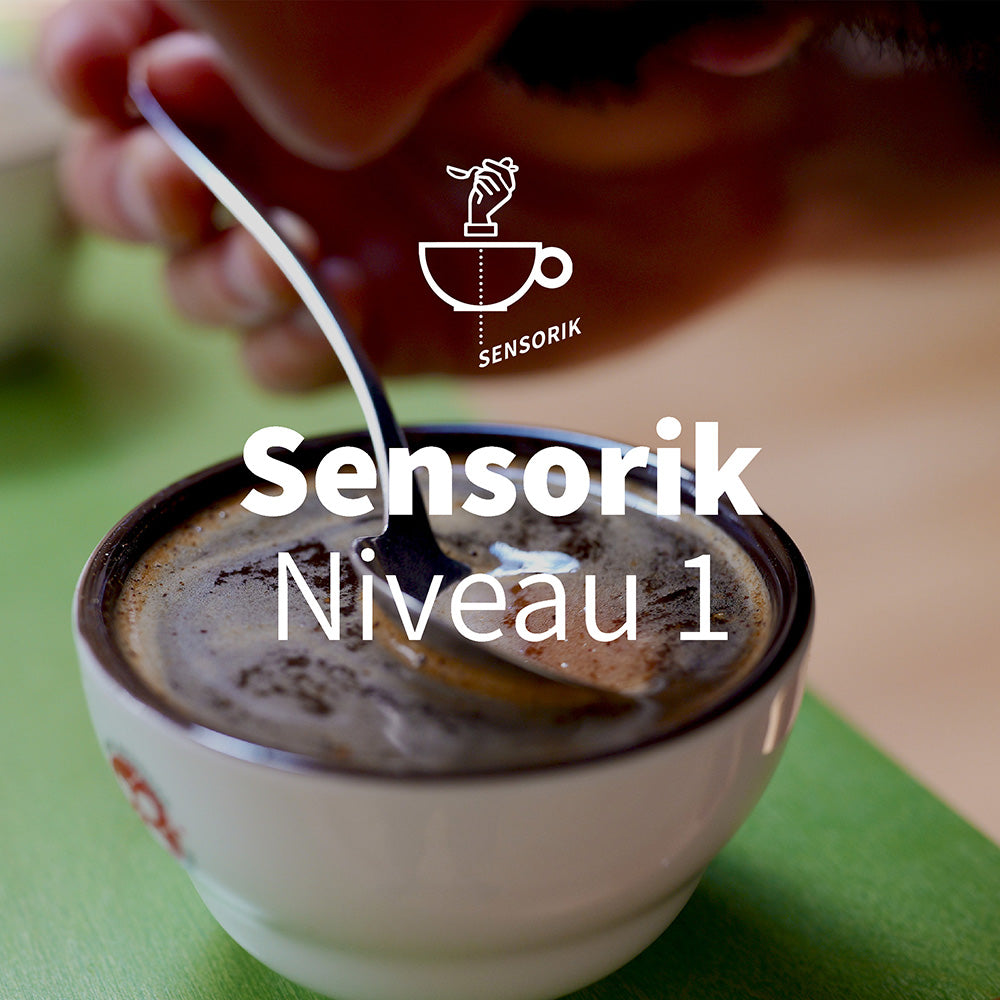 Sensorik Kurs Niveau 1 - Einführung | Kaffeemacher