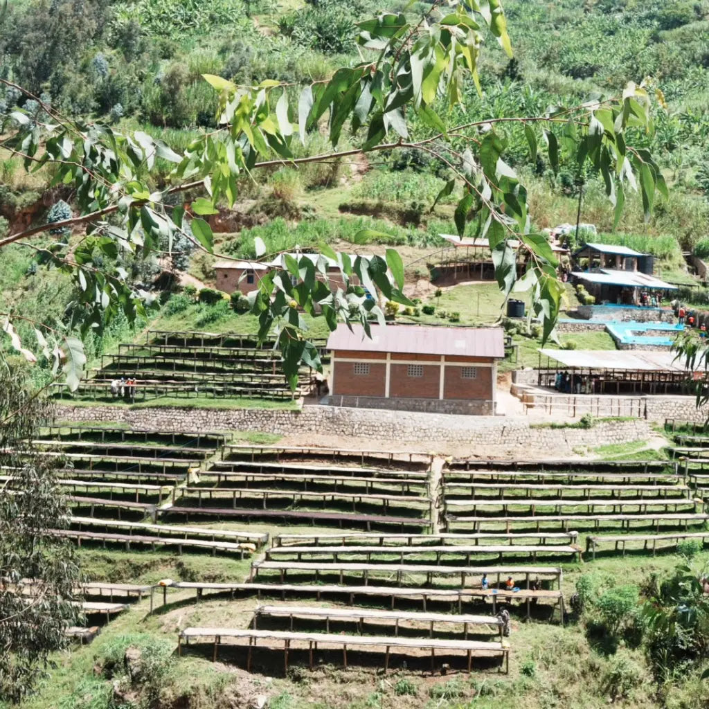 Shyira_washing Station