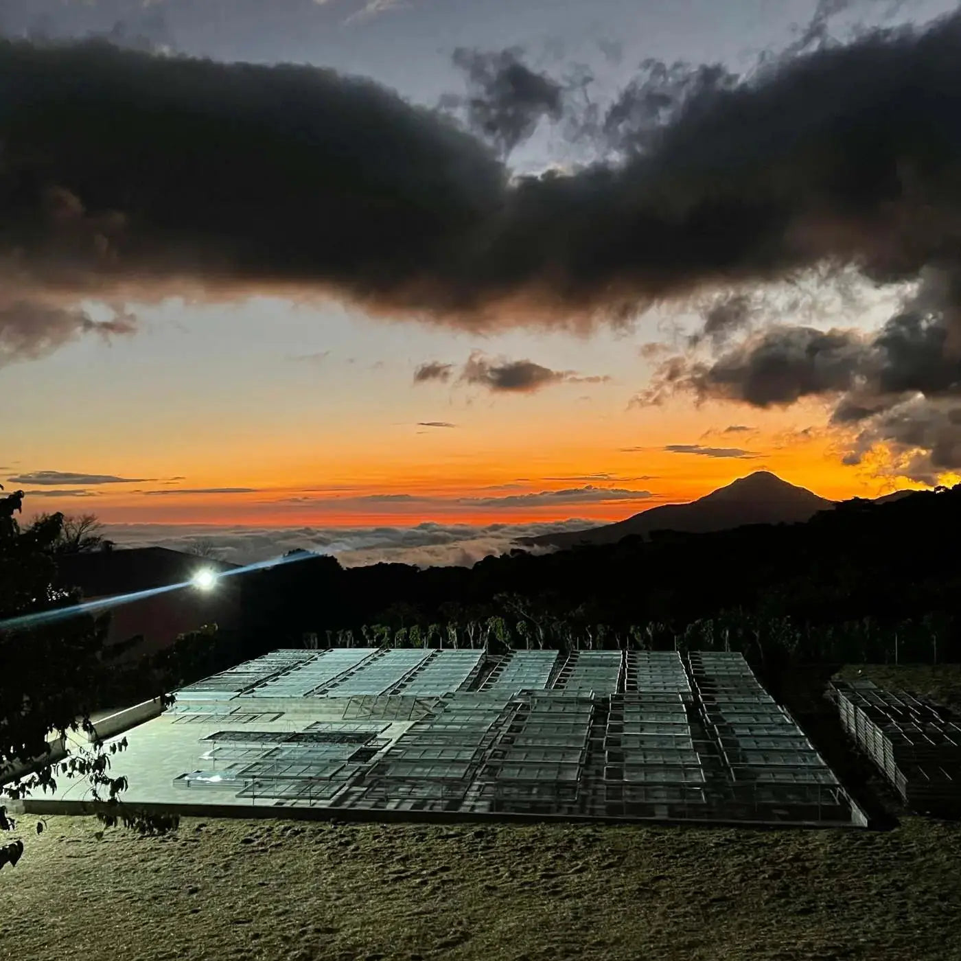 Los Naranjos - café filtre du Salvador