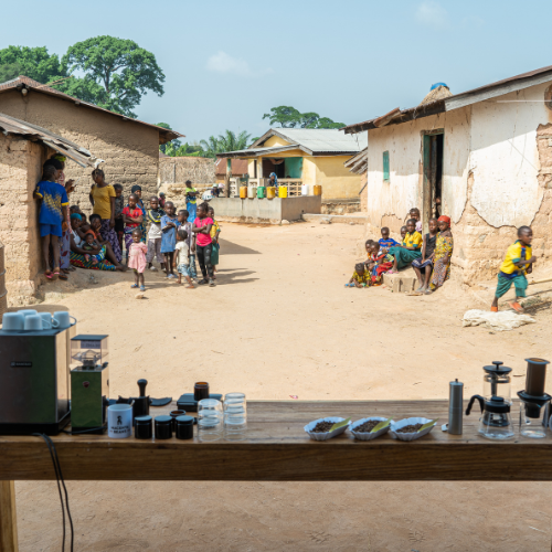 Rohkaffee: Mamy, Guinea