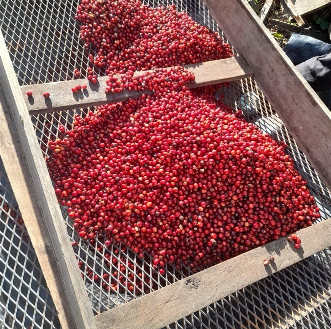 Don Roberto, Espresso
